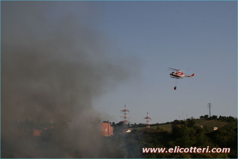 elifoto (181)